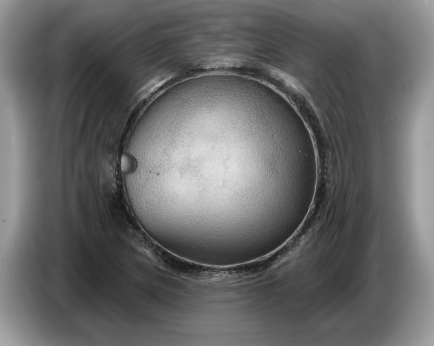 X0000086731217200704271624