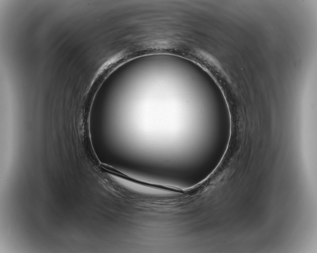 X0000086731218200704271624