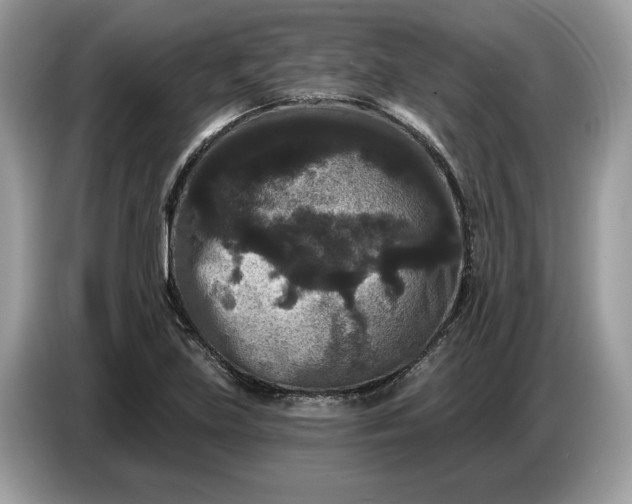 X0000086731219200704271624