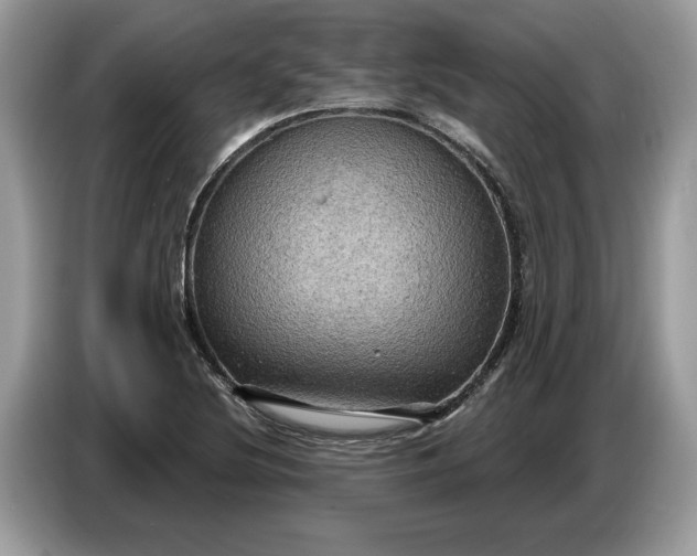 X0000086731220200704271624