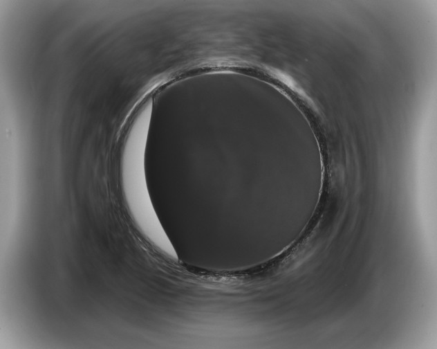 X0000086731221200704271624