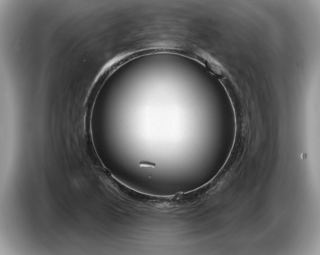 X0000086731222200704271624