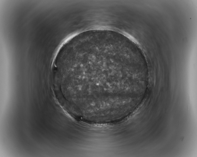 X0000086731223200704271624