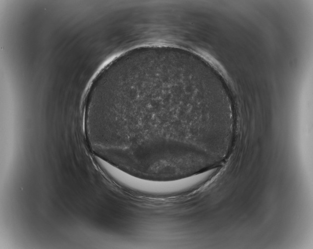 X0000086731224200704271624