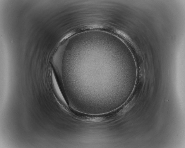 X0000086731225200704271624