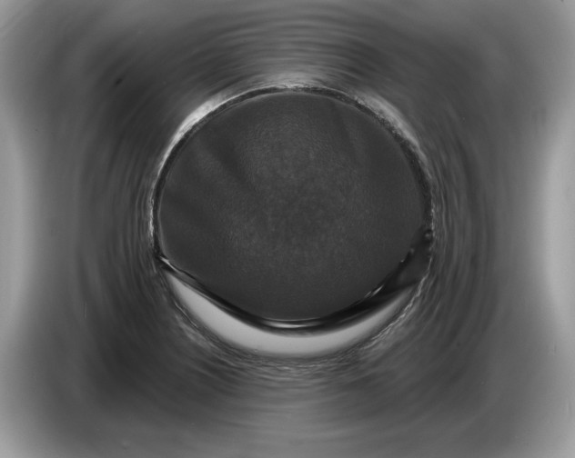 X0000086731226200704271624