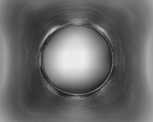 X0000086731227200704271624