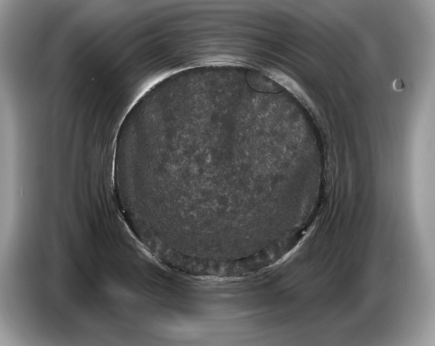 X0000086731228200704271624