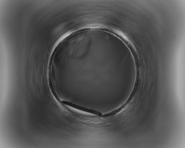 X0000086731229200704271624