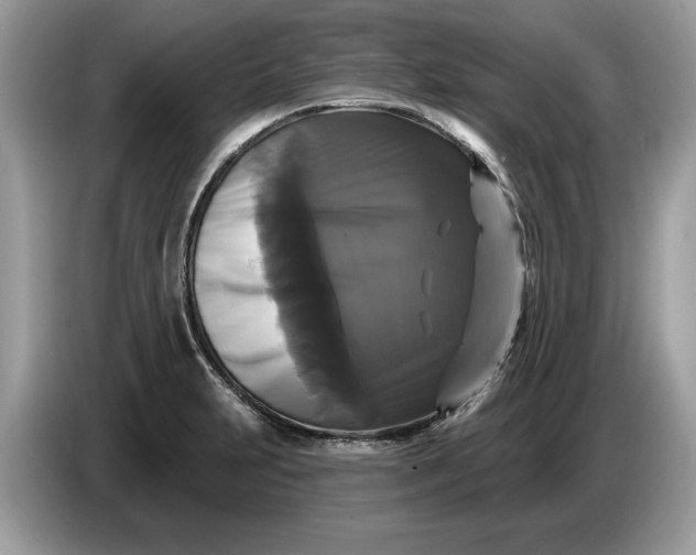 X0000086731231200704271624