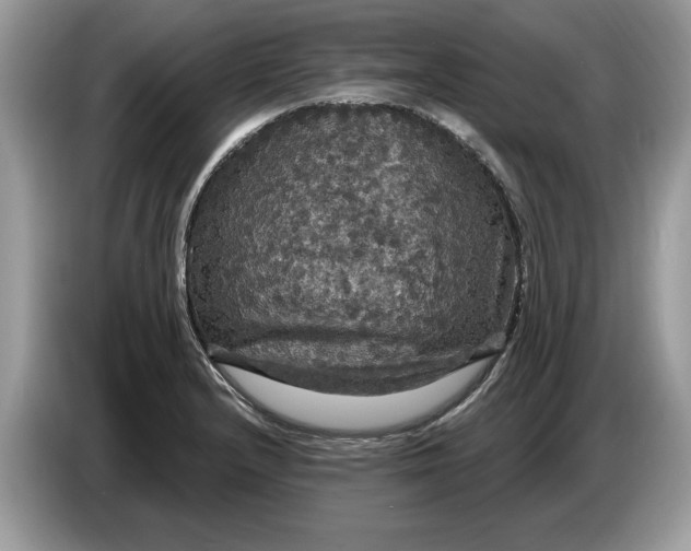 X0000086731232200704271624