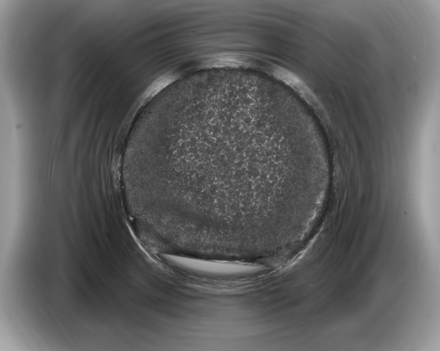 X0000086731233200704271624