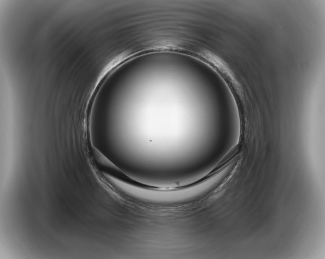 X0000086731234200704271624