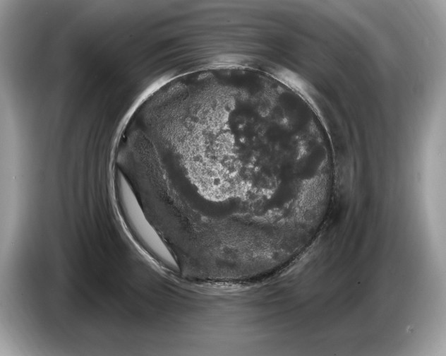 X0000086731235200704271624