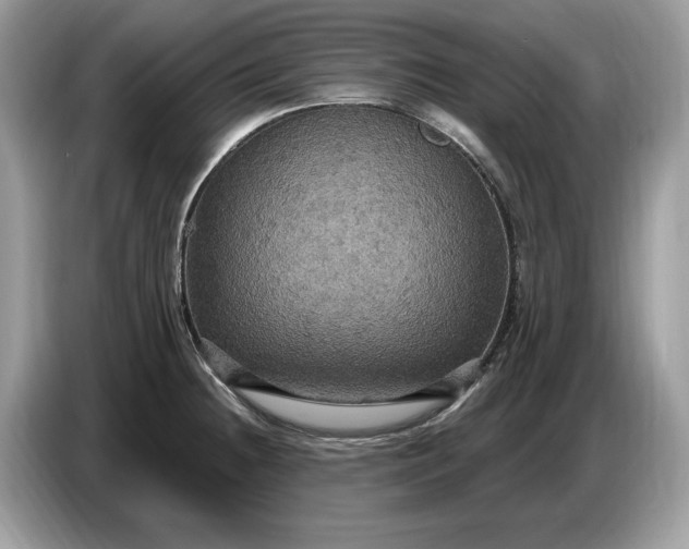 X0000086731236200704271624