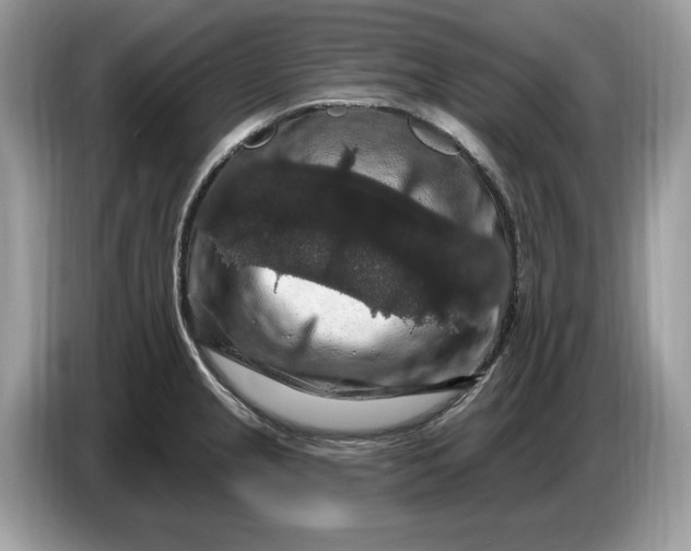 X0000086731237200704271624