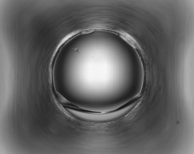 X0000086731238200704271624