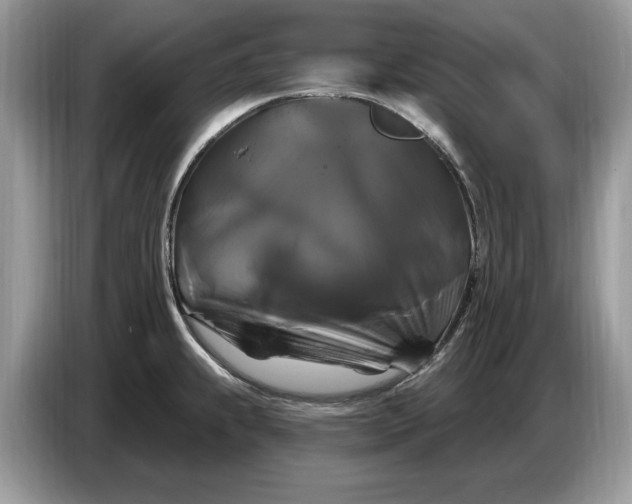 X0000086731239200704271624