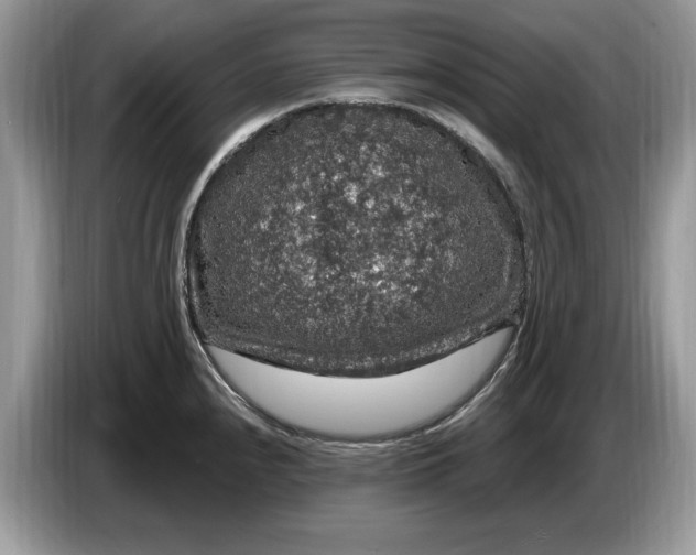 X0000086731240200704271624