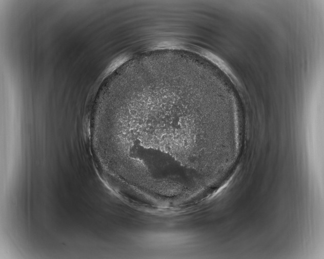 X0000086731241200704271624