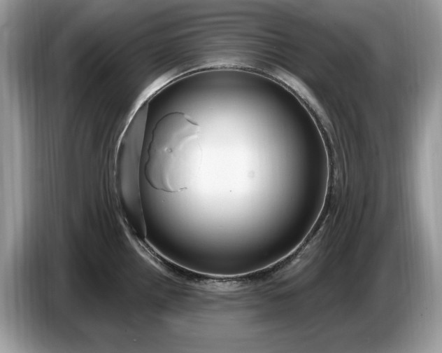 X0000086731242200704271624