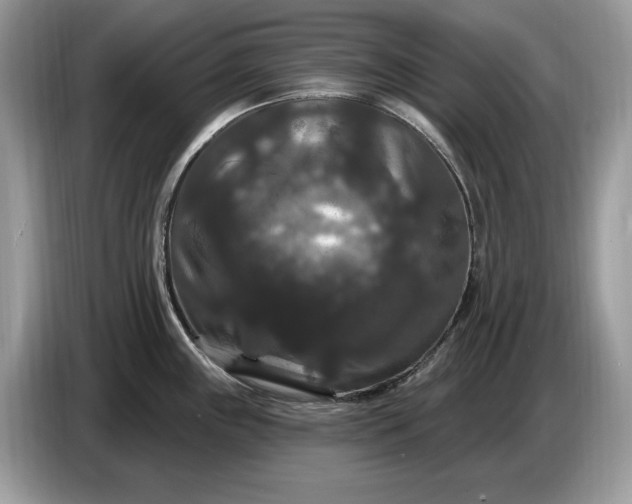 X0000086731243200704271624