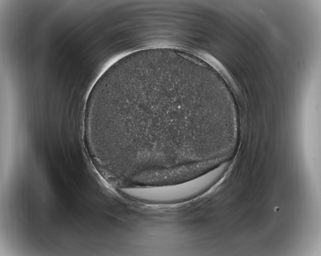 X0000086731244200704271624