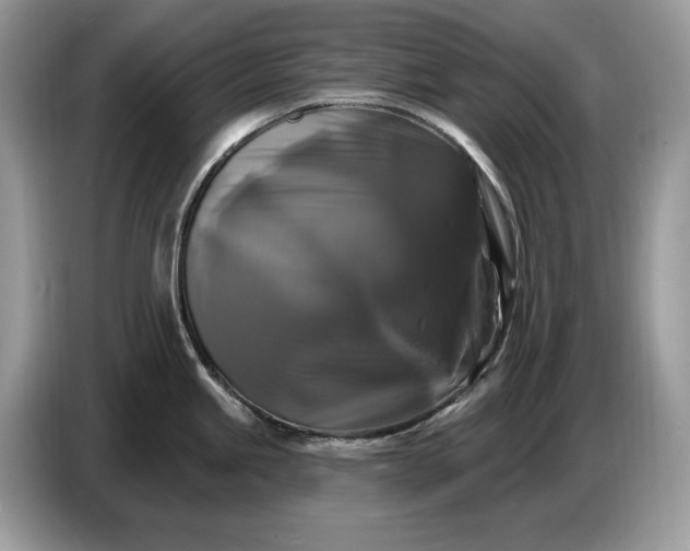 X0000086731245200704271624