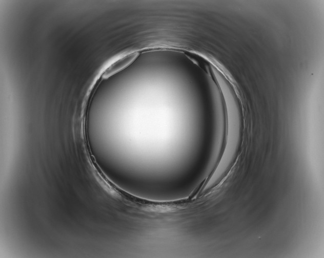 X0000086731246200704271624