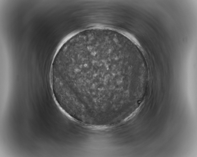 X0000086731247200704271624