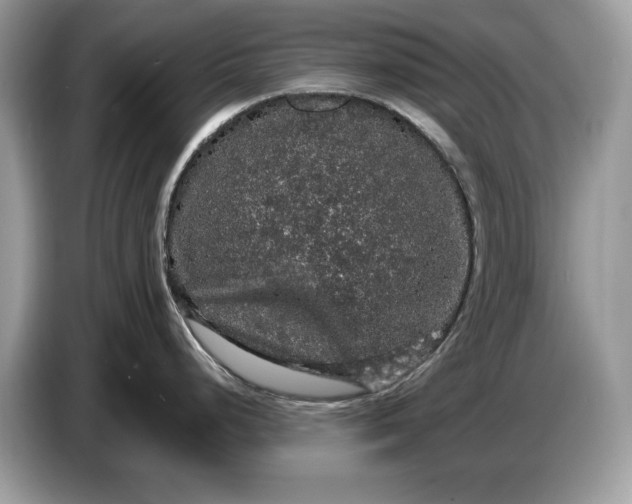 X0000086731248200704271624