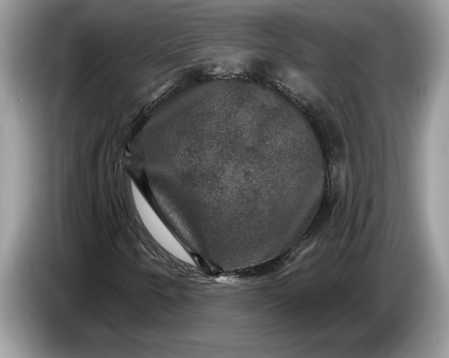 X0000086731250200704271623