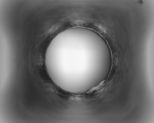 X0000086731253200704271623