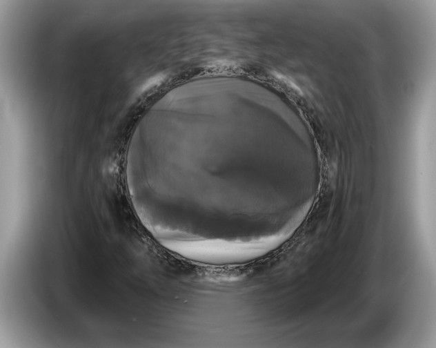 X0000086731254200704271623