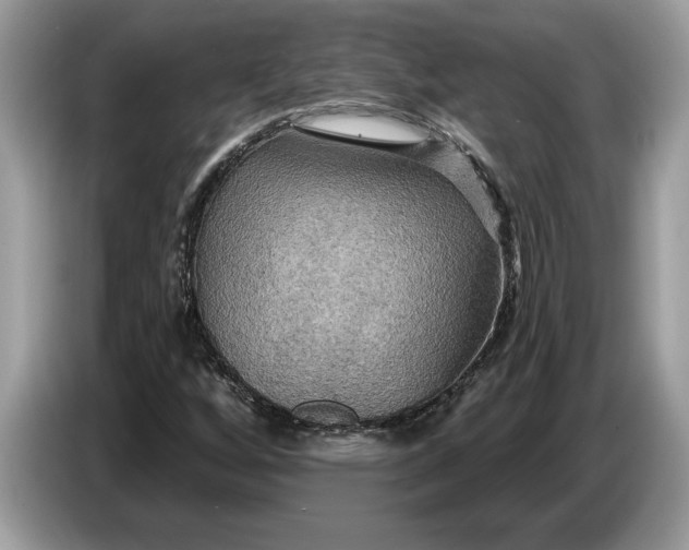 X0000086731256200704271623