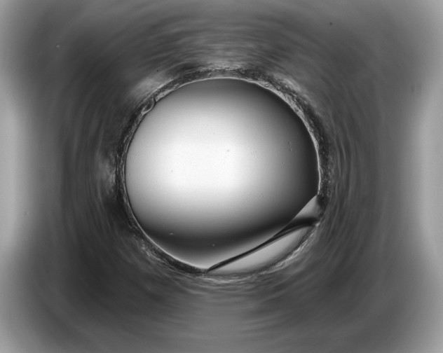 X0000086731257200704271623