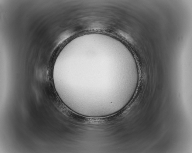 X0000086731258200704271623