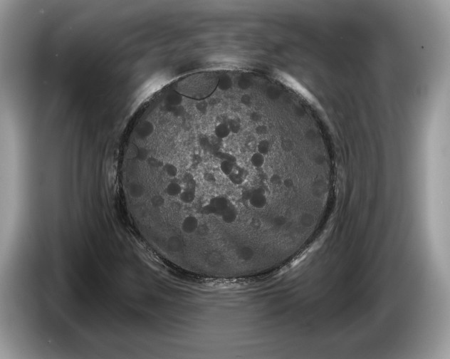 X0000086731259200704271623