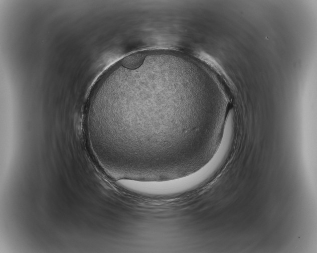 X0000086731260200704271623