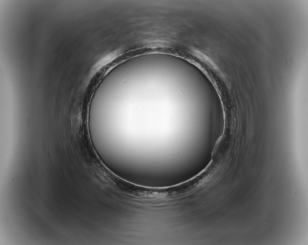 X0000086731261200704271623