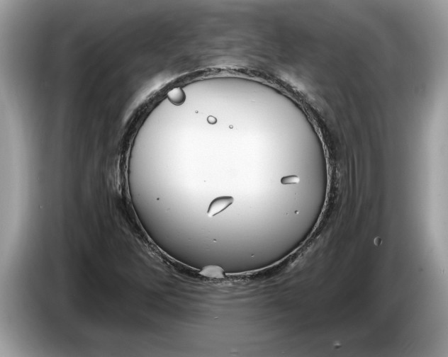 X0000086731262200704271623