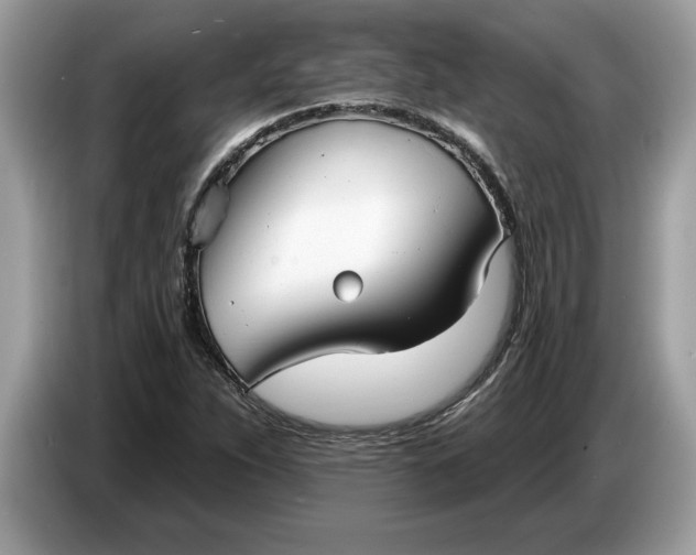 X0000086731263200704271623