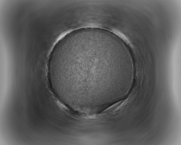 X0000086731264200704271623