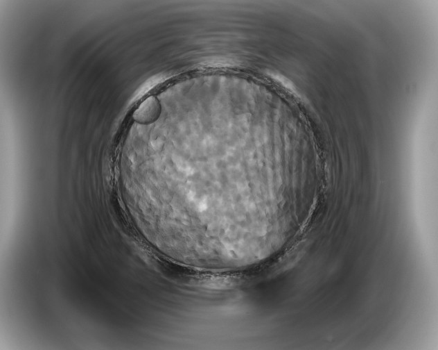 X0000086731266200704271623