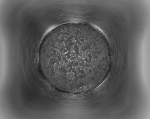 X0000086731267200704271623