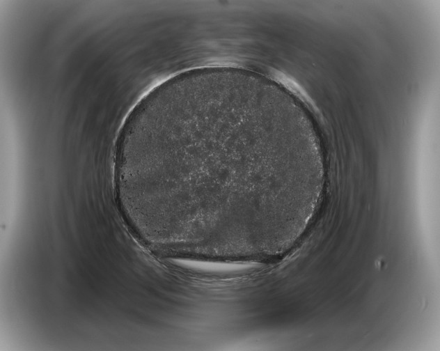 X0000086731268200704271623