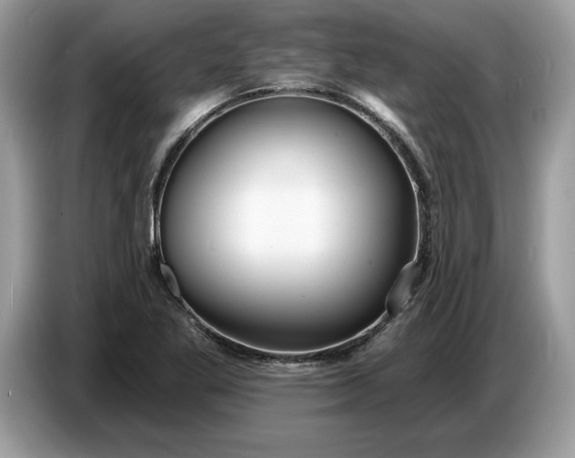 X0000086731269200704271623