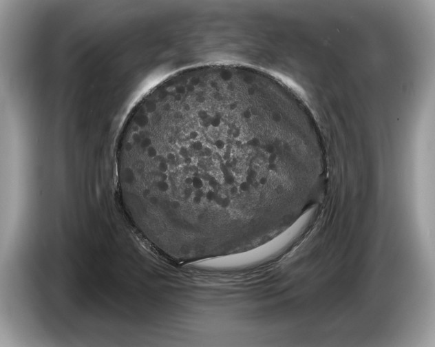 X0000086731271200704271623