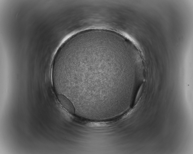 X0000086731272200704271623