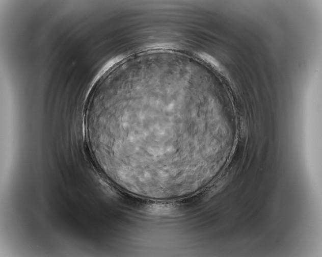 X0000086731274200704271623